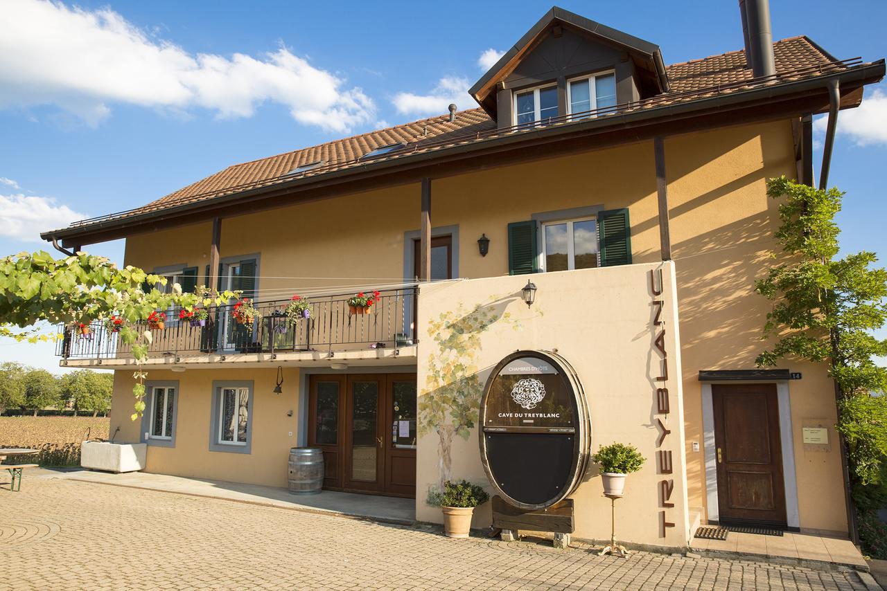 Cave Du Treyblanc Bed & Breakfast Luins Exterior photo